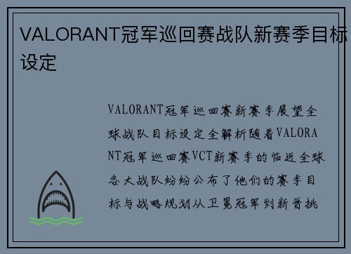 VALORANT冠军巡回赛战队新赛季目标设定