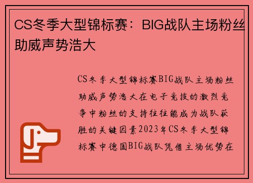 CS冬季大型锦标赛：BIG战队主场粉丝助威声势浩大